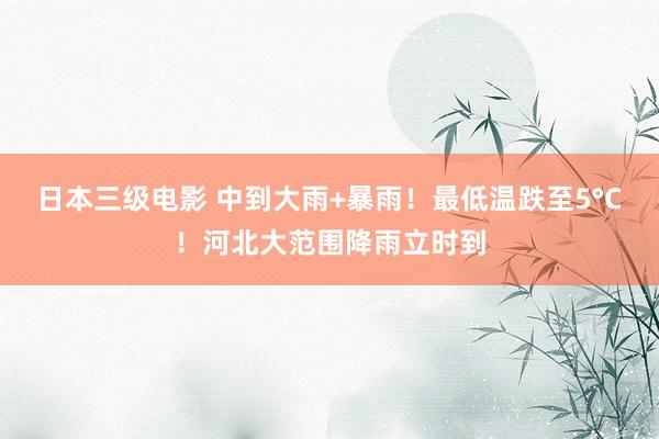 日本三级电影 中到大雨+暴雨！最低温跌至5°C！河北大范围降雨立时到