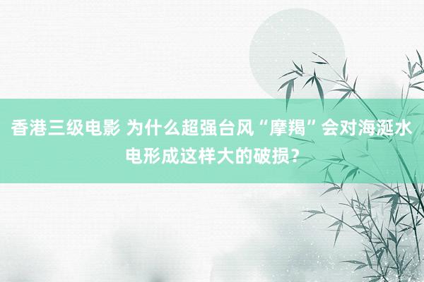 香港三级电影 为什么超强台风“摩羯”会对海涎水电形成这样大的破损？
