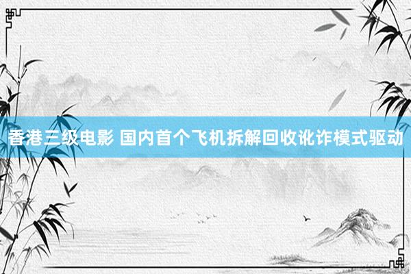 香港三级电影 国内首个飞机拆解回收讹诈模式驱动