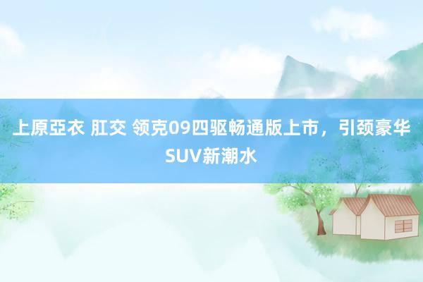 上原亞衣 肛交 领克09四驱畅通版上市，引颈豪华SUV新潮水