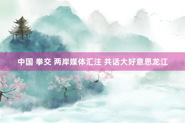 中国 拳交 两岸媒体汇注 共话大好意思龙江
