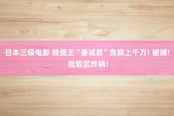 日本三级电影 独揽王“姜诚君”贪腐上千万! 被捕! 批驳区炸锅!