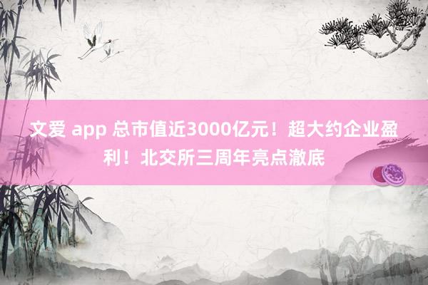 文爱 app 总市值近3000亿元！超大约企业盈利！北交所三周年亮点澈底