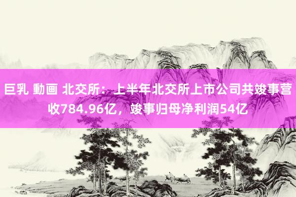 巨乳 動画 北交所：上半年北交所上市公司共竣事营收784.96亿，竣事归母净利润54亿