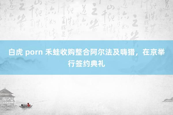 白虎 porn 禾蛙收购整合阿尔法及嗨猎，在京举行签约典礼