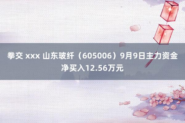 拳交 xxx 山东玻纤（605006）9月9日主力资金净买入12.56万元