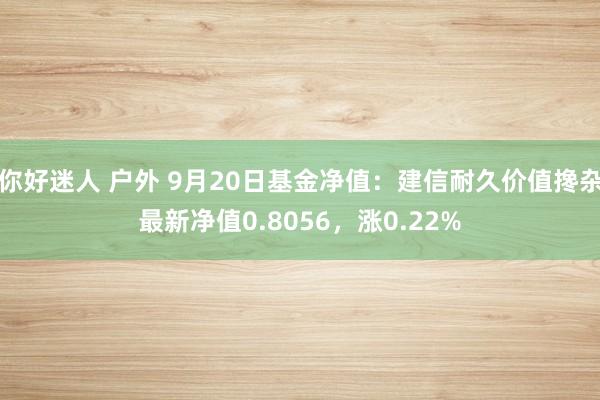 你好迷人 户外 9月20日基金净值：建信耐久价值搀杂最新净值0.8056，涨0.22%