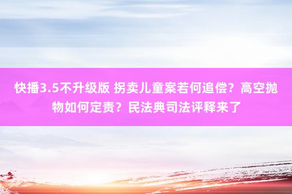 快播3.5不升级版 拐卖儿童案若何追偿？高空抛物如何定责？民法典司法评释来了