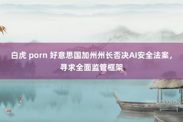 白虎 porn 好意思国加州州长否决AI安全法案，寻求全面监管框架