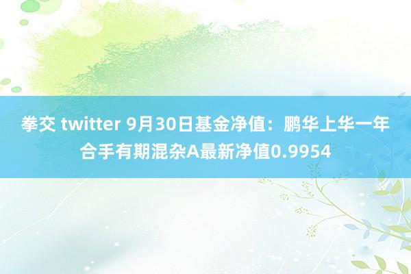 拳交 twitter 9月30日基金净值：鹏华上华一年合手有期混杂A最新净值0.9954