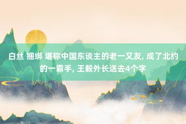 白丝 捆绑 堪称中国东谈主的老一又友， 成了北约的一霸手， 王毅外长送去4个字