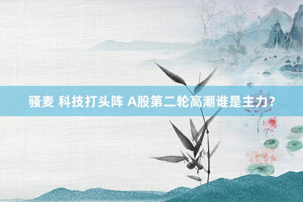 骚麦 科技打头阵 A股第二轮高潮谁是主力？