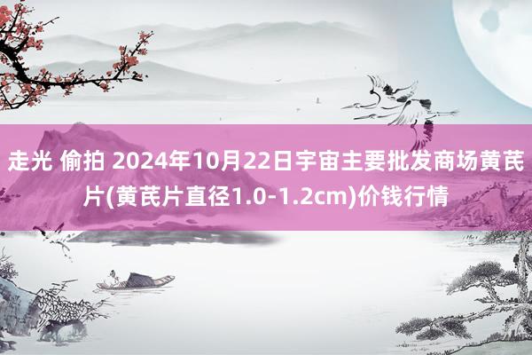 走光 偷拍 2024年10月22日宇宙主要批发商场黄芪片(黄芪片直径1.0-1.2cm)价钱行情