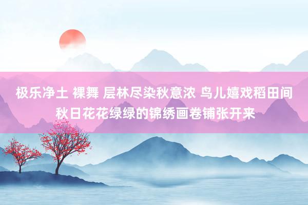 极乐净土 裸舞 层林尽染秋意浓 鸟儿嬉戏稻田间 秋日花花绿绿的锦绣画卷铺张开来