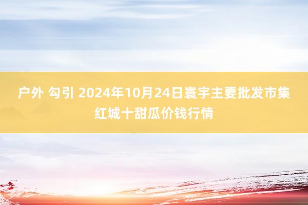 户外 勾引 2024年10月24日寰宇主要批发市集红城十甜瓜价钱行情