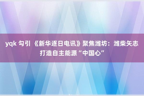 yqk 勾引 《新华逐日电讯》聚焦潍坊：潍柴矢志打造自主能源“中国心”