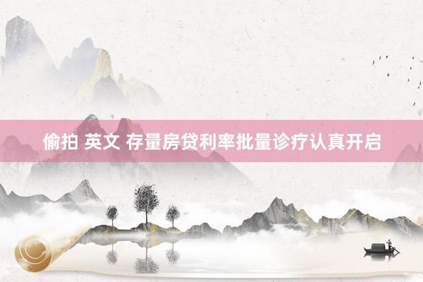 偷拍 英文 存量房贷利率批量诊疗认真开启