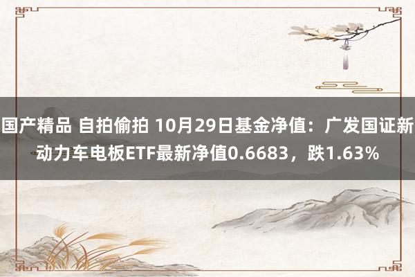 国产精品 自拍偷拍 10月29日基金净值：广发国证新动力车电板ETF最新净值0.6683，跌1.63%