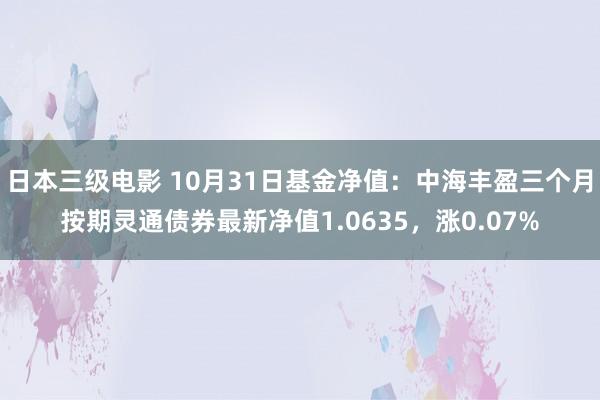 日本三级电影 10月31日基金净值：中海丰盈三个月按期灵通债券最新净值1.0635，涨0.07%