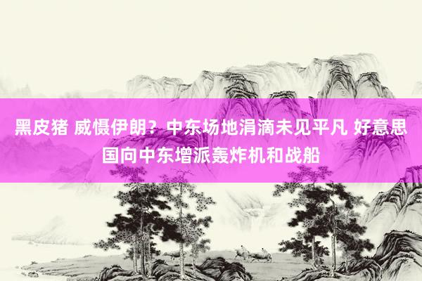 黑皮猪 威慑伊朗？中东场地涓滴未见平凡 好意思国向中东增派轰炸机和战船