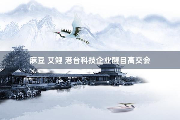 麻豆 艾鲤 港台科技企业醒目高交会