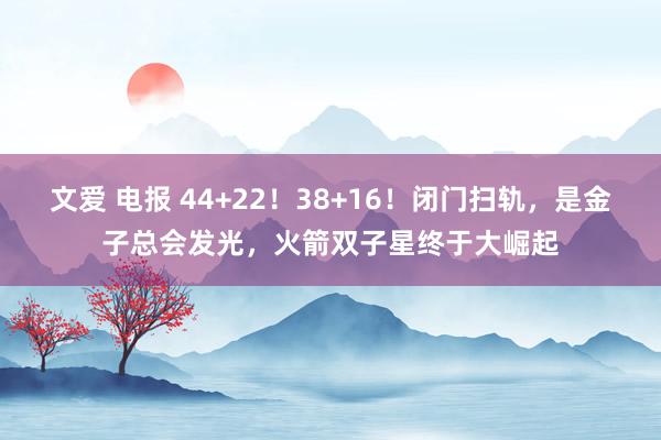 文爱 电报 44+22！38+16！闭门扫轨，是金子总会发光，火箭双子星终于大崛起