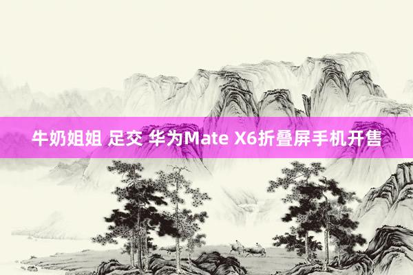 牛奶姐姐 足交 华为Mate X6折叠屏手机开售