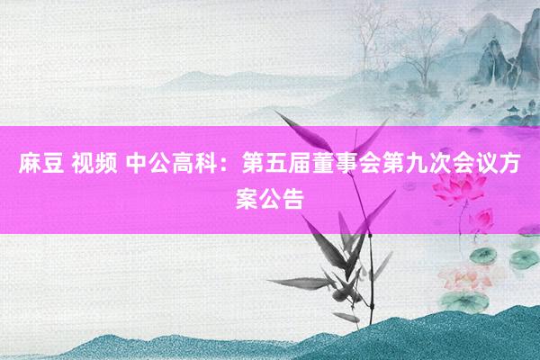 麻豆 视频 中公高科：第五届董事会第九次会议方案公告