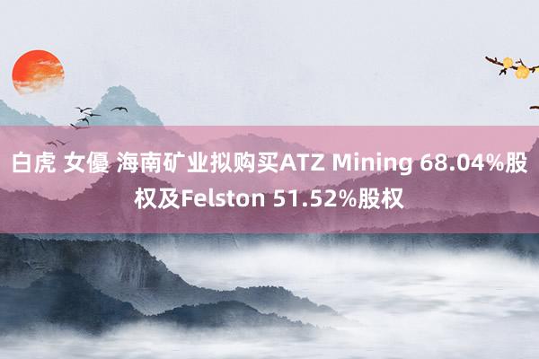 白虎 女優 海南矿业拟购买ATZ Mining 68.04%股权及Felston 51.52%股权
