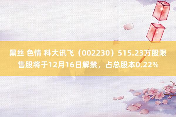 黑丝 色情 科大讯飞（002230）515.23万股限售股将于12月16日解禁，占总股本0.22%