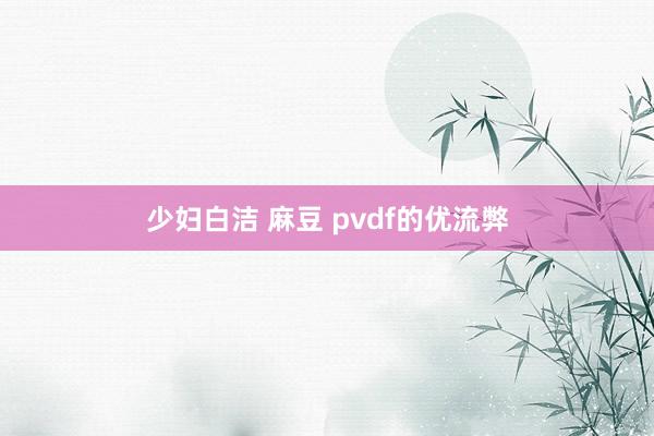少妇白洁 麻豆 pvdf的优流弊