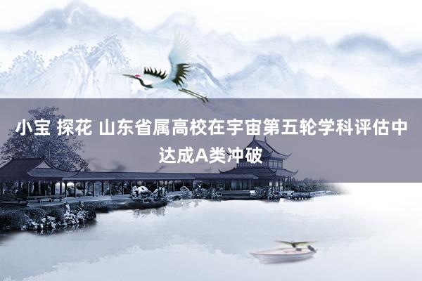 小宝 探花 山东省属高校在宇宙第五轮学科评估中达成A类冲破