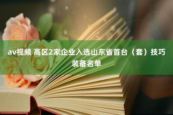 av视频 高区2家企业入选山东省首台（套）技巧装备名单