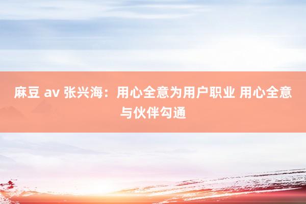 麻豆 av 张兴海：用心全意为用户职业 用心全意与伙伴勾通