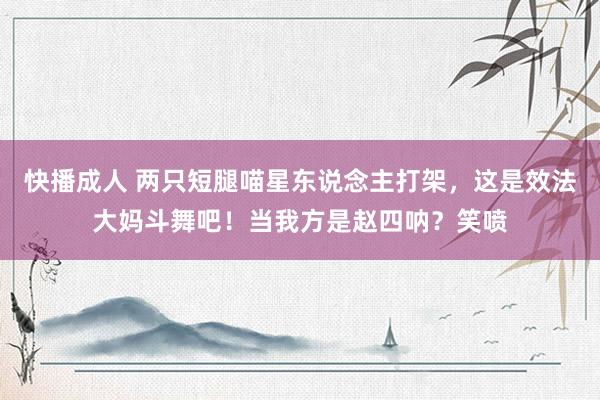 快播成人 两只短腿喵星东说念主打架，这是效法大妈斗舞吧！当我方是赵四呐？笑喷