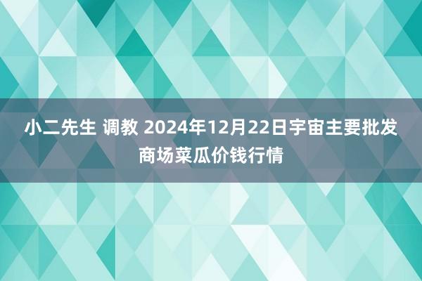 小二先生 调教 2024年12月22日宇宙主要批发商场菜瓜价钱行情