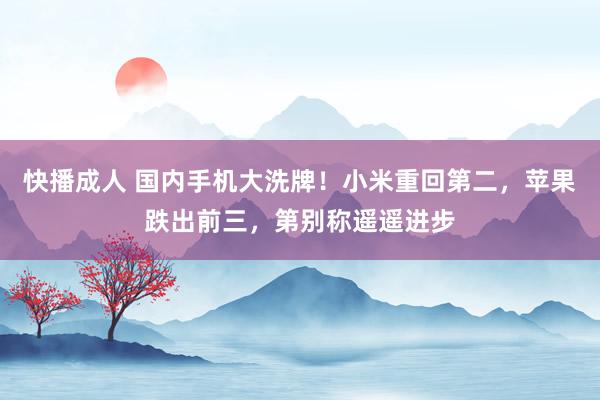 快播成人 国内手机大洗牌！小米重回第二，苹果跌出前三，第别称遥遥进步