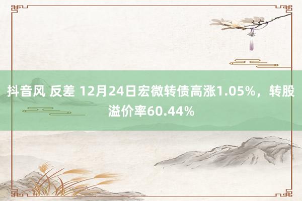 抖音风 反差 12月24日宏微转债高涨1.05%，转股溢价率60.44%