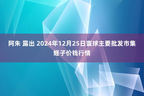 阿朱 露出 2024年12月25日寰球主要批发市集蛏子价钱行情