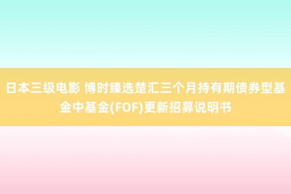 日本三级电影 博时臻选楚汇三个月持有期债券型基金中基金(FOF)更新招募说明书
