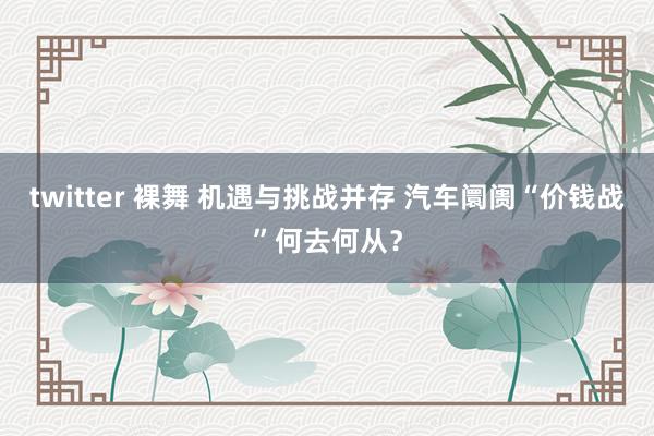twitter 裸舞 机遇与挑战并存 汽车阛阓“价钱战”何去何从？