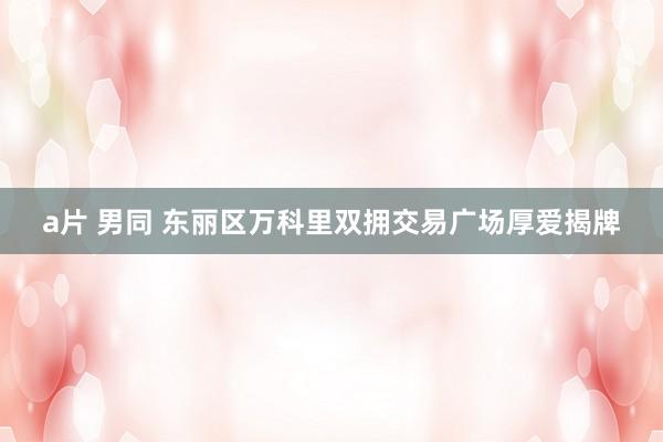 a片 男同 东丽区万科里双拥交易广场厚爱揭牌