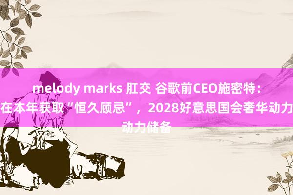 melody marks 肛交 谷歌前CEO施密特：AI将在本年获取“恒久顾忌”，2028好意思国会奢华动力储备