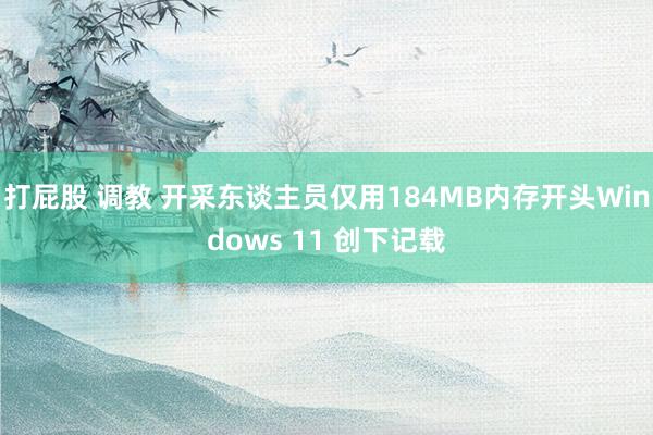 打屁股 调教 开采东谈主员仅用184MB内存开头Windows 11 创下记载