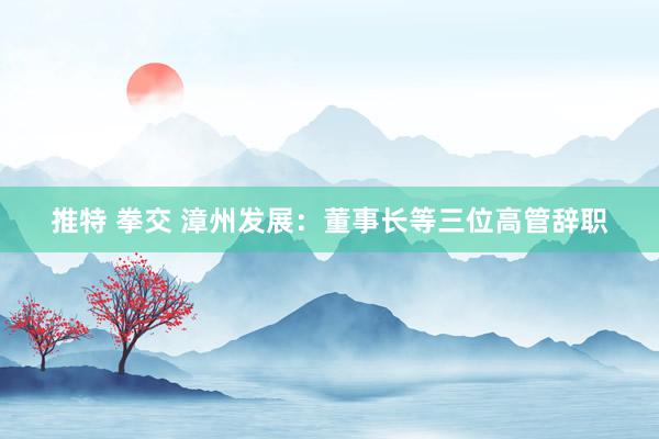 推特 拳交 漳州发展：董事长等三位高管辞职