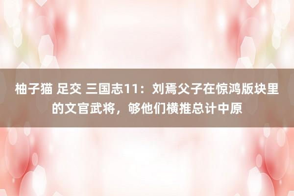 柚子猫 足交 三国志11：刘焉父子在惊鸿版块里的文官武将，够他们横推总计中原