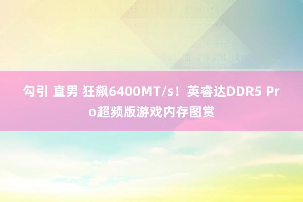 勾引 直男 狂飙6400MT/s！英睿达DDR5 Pro超频版游戏内存图赏