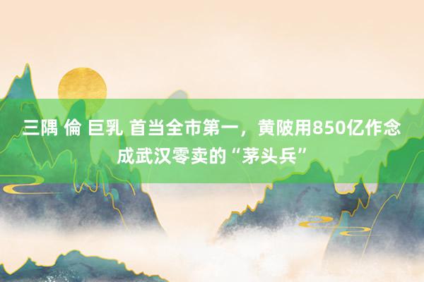 三隅 倫 巨乳 首当全市第一，黄陂用850亿作念成武汉零卖的“茅头兵”