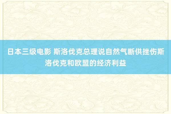 日本三级电影 斯洛伐克总理说自然气断供挫伤斯洛伐克和欧盟的经济利益