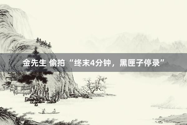 金先生 偷拍 “终末4分钟，黑匣子停录”